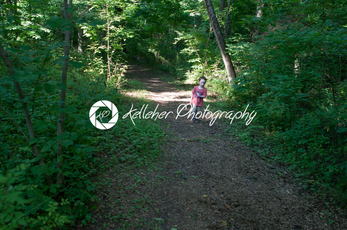 Boy walking on pathway in green open space with mature trees on a sunny day with light clouds at Stroud Preserve - Kelleher Photography Store