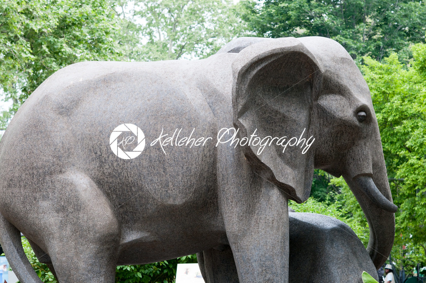 PHILADELPHIA, PA – MAY 27: Agnes Irwin Field Trip to the Philadelphia Zoo on May 27, 2014 - Kelleher Photography Store
