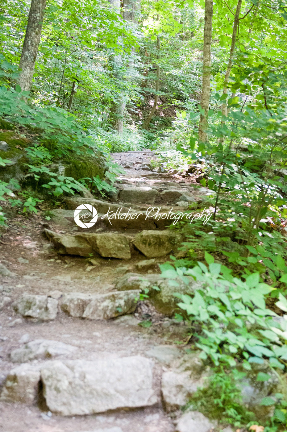 Rocky pathway steps at Crabtree Falls along the Blue Ridge Parkway near Asheville North Carolina - Kelleher Photography Store