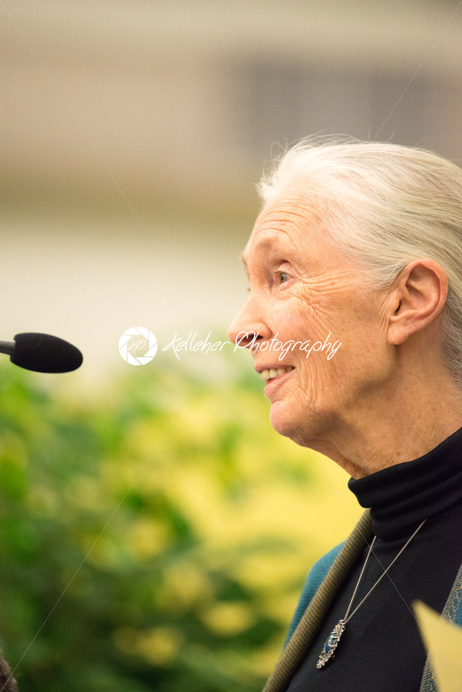 Rosemont, PA – September 15: Dr. Jane Goodall speaks at The Agnes Irwin School in Rosemont on September 15, 2015 - Kelleher Photography Store