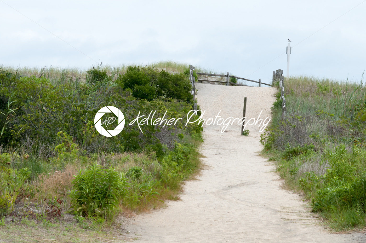 Sand dunes along the New Jersey shore in Wildwood - Kelleher Photography Store