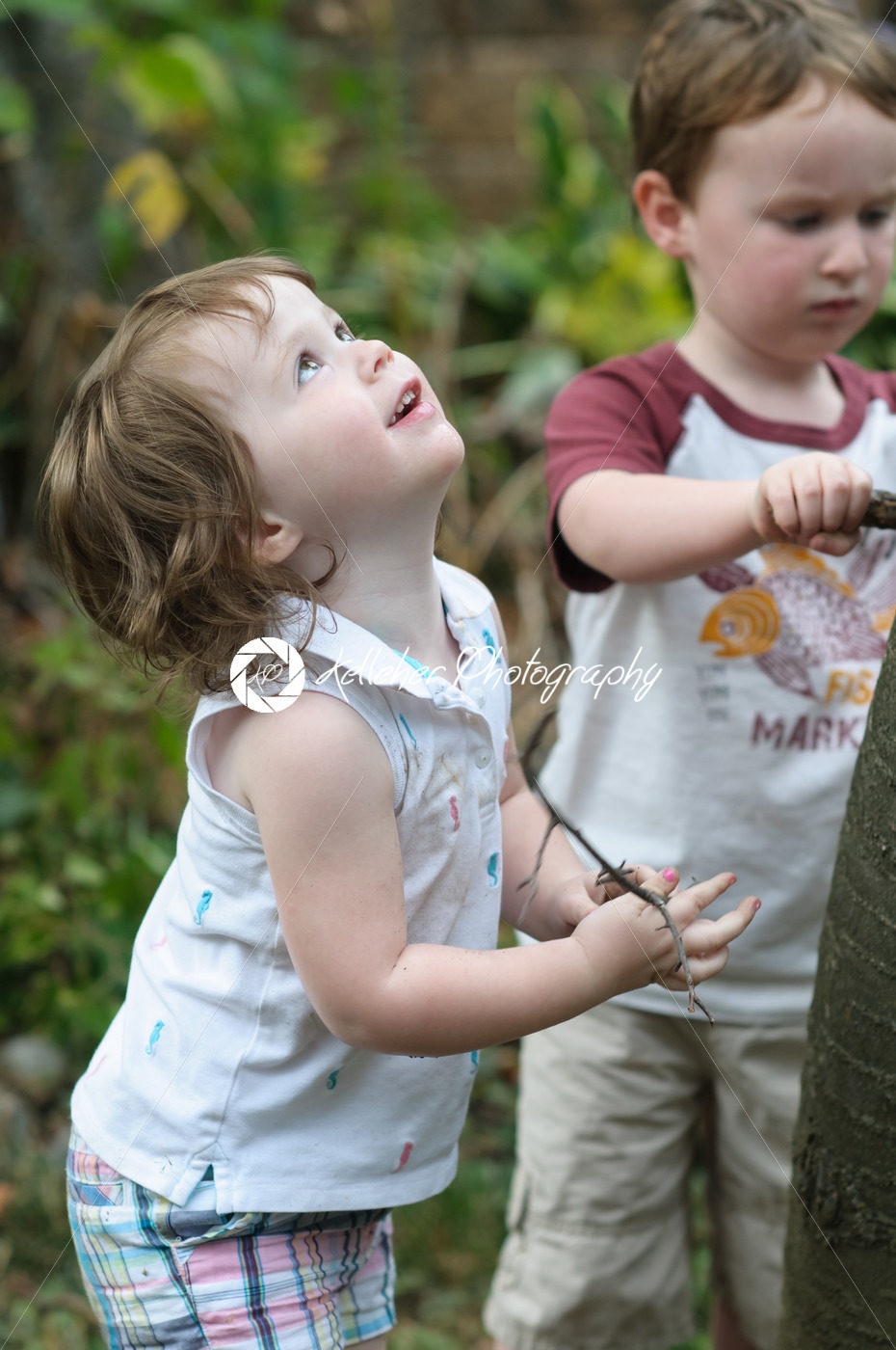 Young boy and girl looking up at a tree in the back yard - Kelleher Photography Store