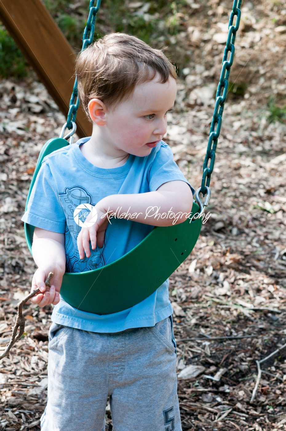 Young boy having fun on a swing - Kelleher Photography Store