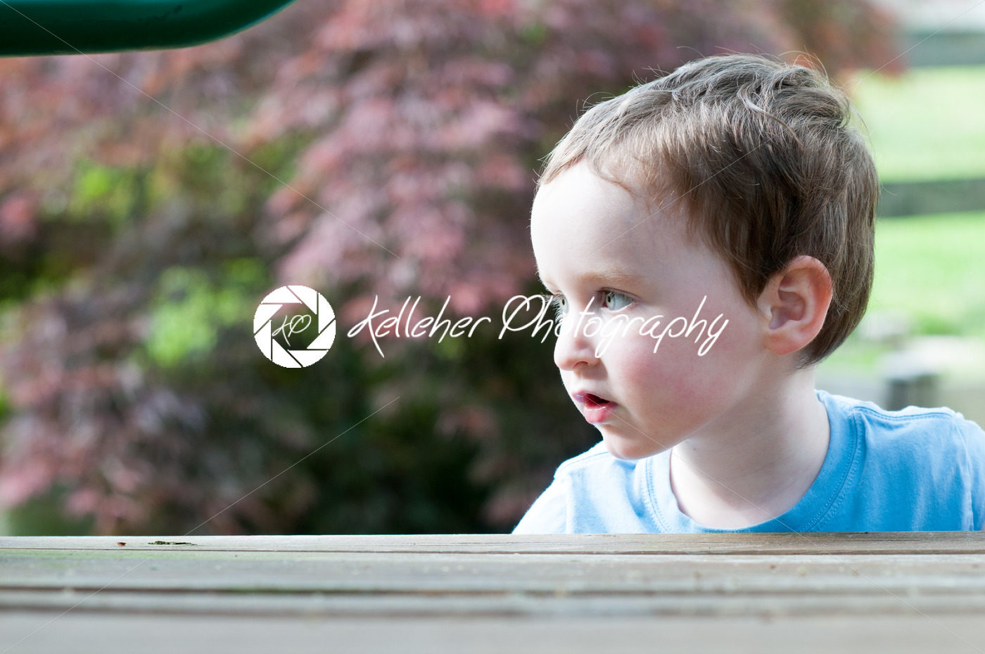 Young boy having fun on a swing set - Kelleher Photography Store