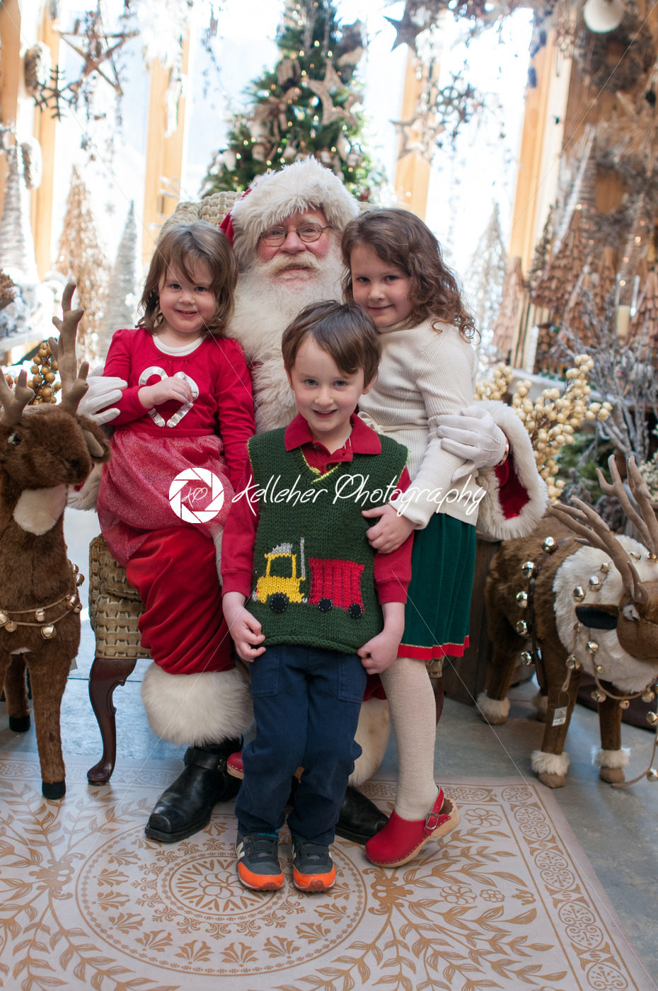 3 Siblings, 2 girls and 1 boy sitting on Santa with decorated tree in background - Kelleher Photography Store