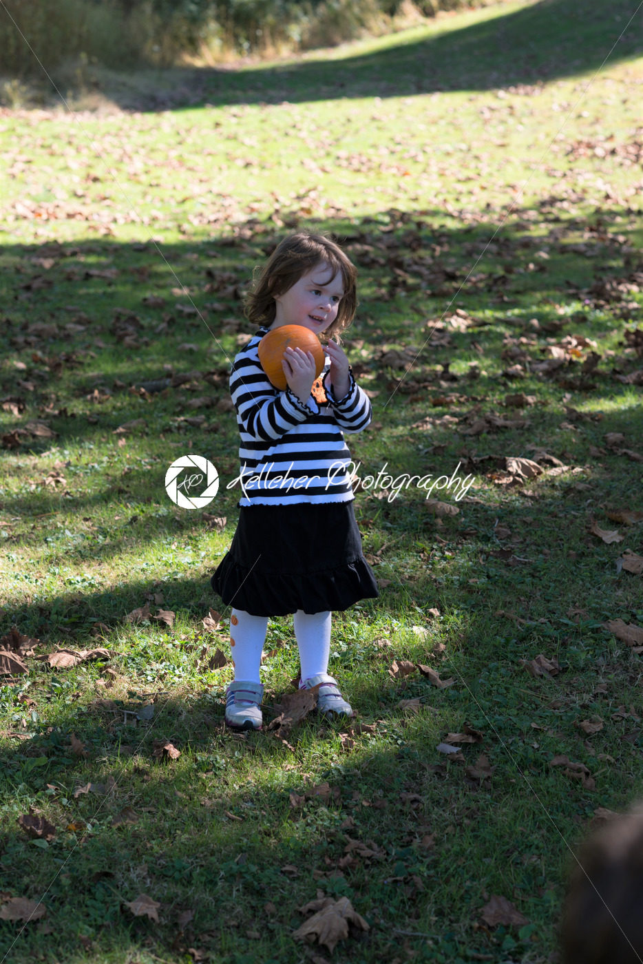 Beautiful smiling toddler girl wearing black and white Halloween outfit outdoors holding little pumpkin and smiling with grass and falling leaves in background - Kelleher Photography Store