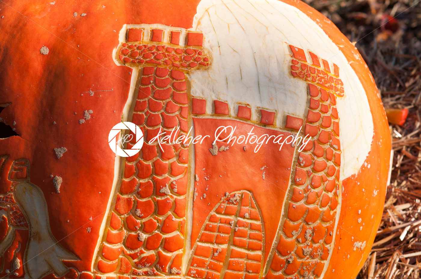 CHADDS FORD, PA – OCTOBER 26: Castle Pumpkin at The Great Pumpkin Carve carving contest on October 26, 2013 - Kelleher Photography Store