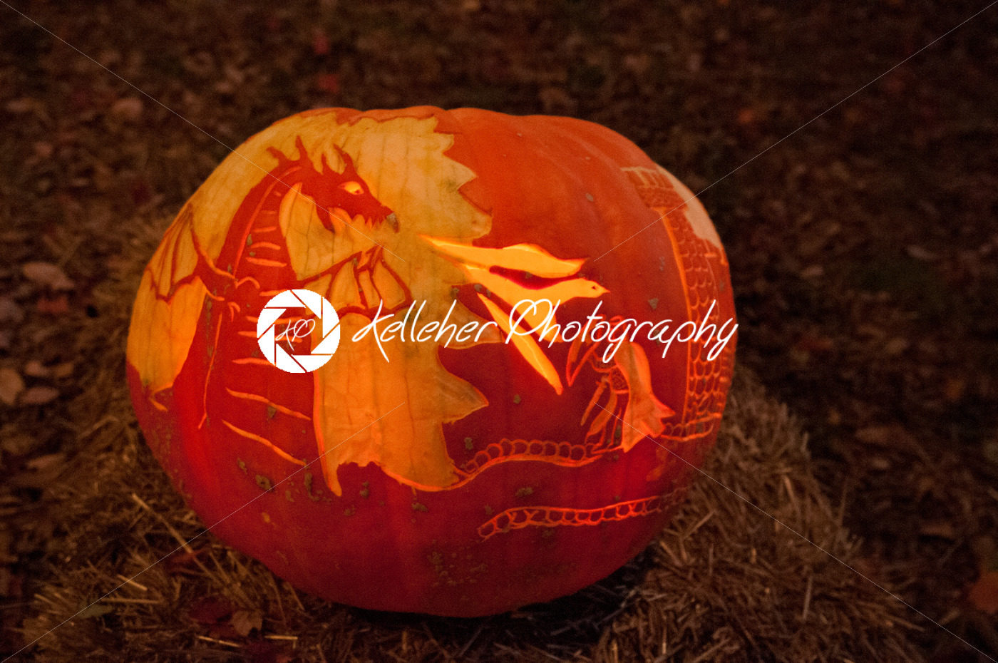 CHADDS FORD, PA – OCTOBER 26: Dragon, Knight and Castle Pumpkin at The Great Pumpkin Carve carving contest on October 26, 2013 - Kelleher Photography Store