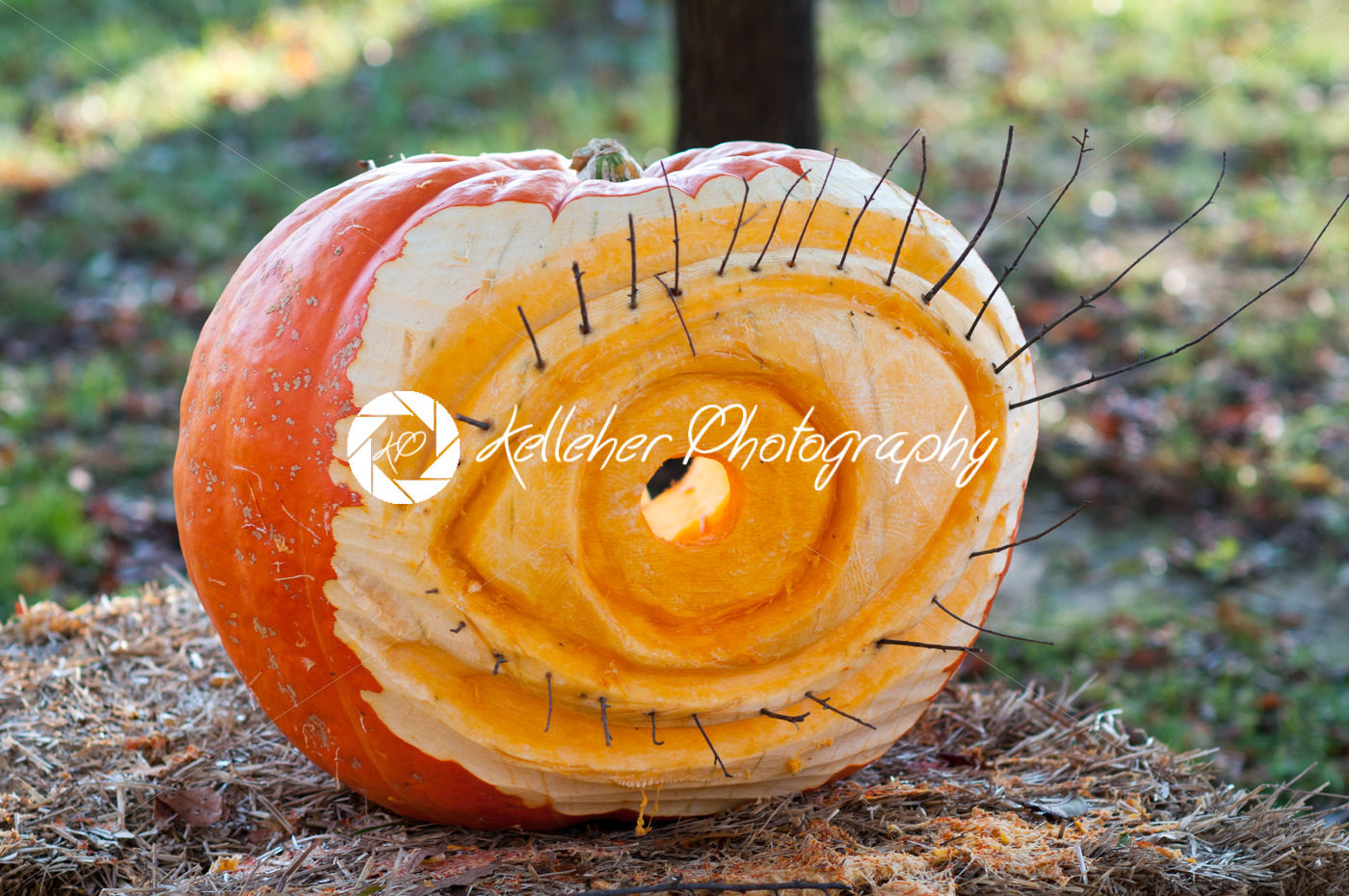 CHADDS FORD, PA – OCTOBER 26: Eye Pumpkin at The Great Pumpkin Carve carving contest on October 26, 2013 - Kelleher Photography Store