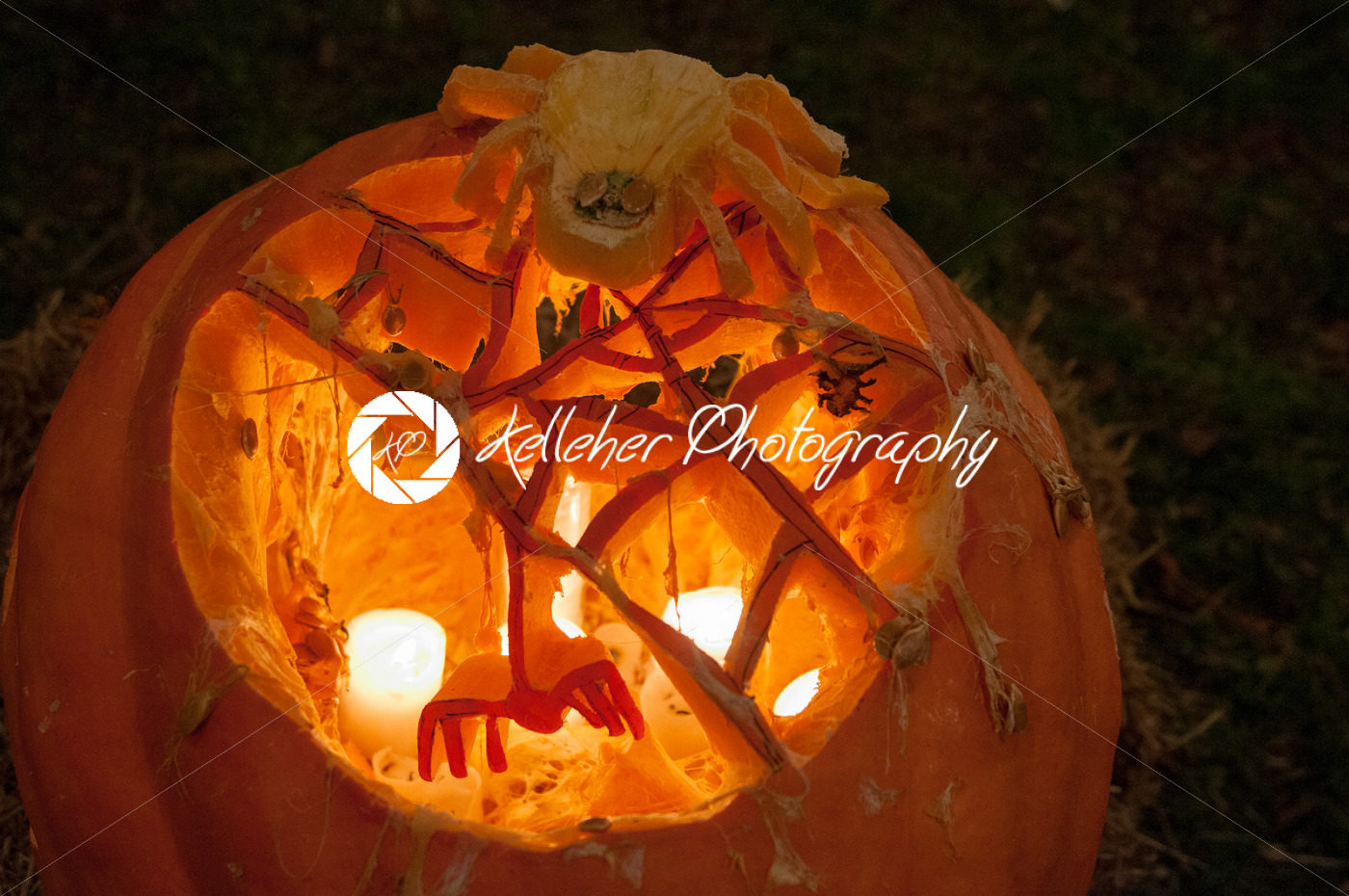 CHADDS FORD, PA – OCTOBER 26: Spider Pumpkin at The Great Pumpkin Carve carving contest on October 26, 2013 - Kelleher Photography Store