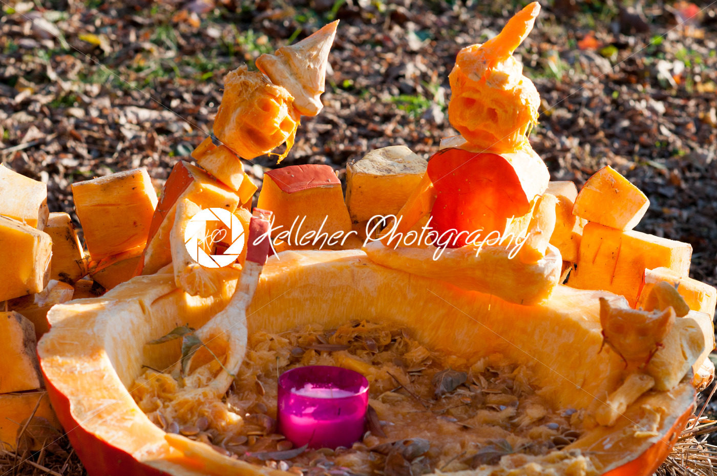 CHADDS FORD, PA – OCTOBER 26: Witch Caldron Pumpkin at The Great Pumpkin Carve carving contest on October 26, 2013 - Kelleher Photography Store