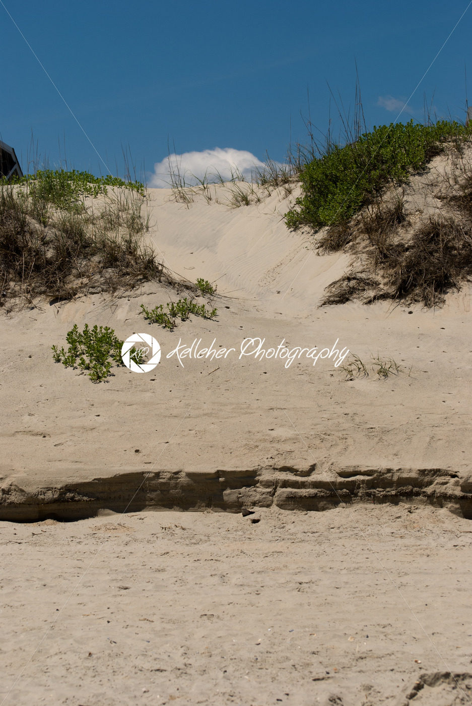Jockey’s Ridge Sand Dune in the Outer Banks, North Carolina. - Kelleher Photography Store
