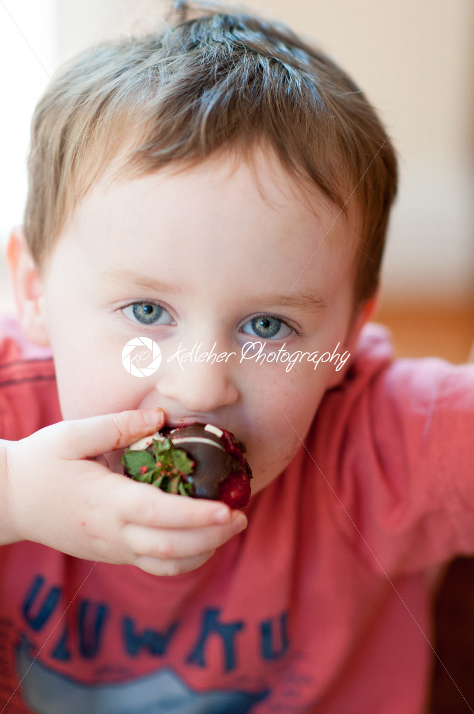 Little boy eating chocolate covered strawberries - Kelleher Photography Store