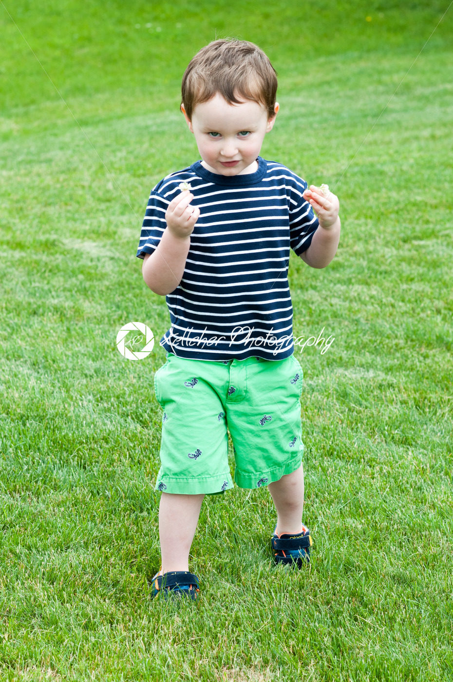 Portrait of a cute adorable little boy child running on grass - Kelleher Photography Store