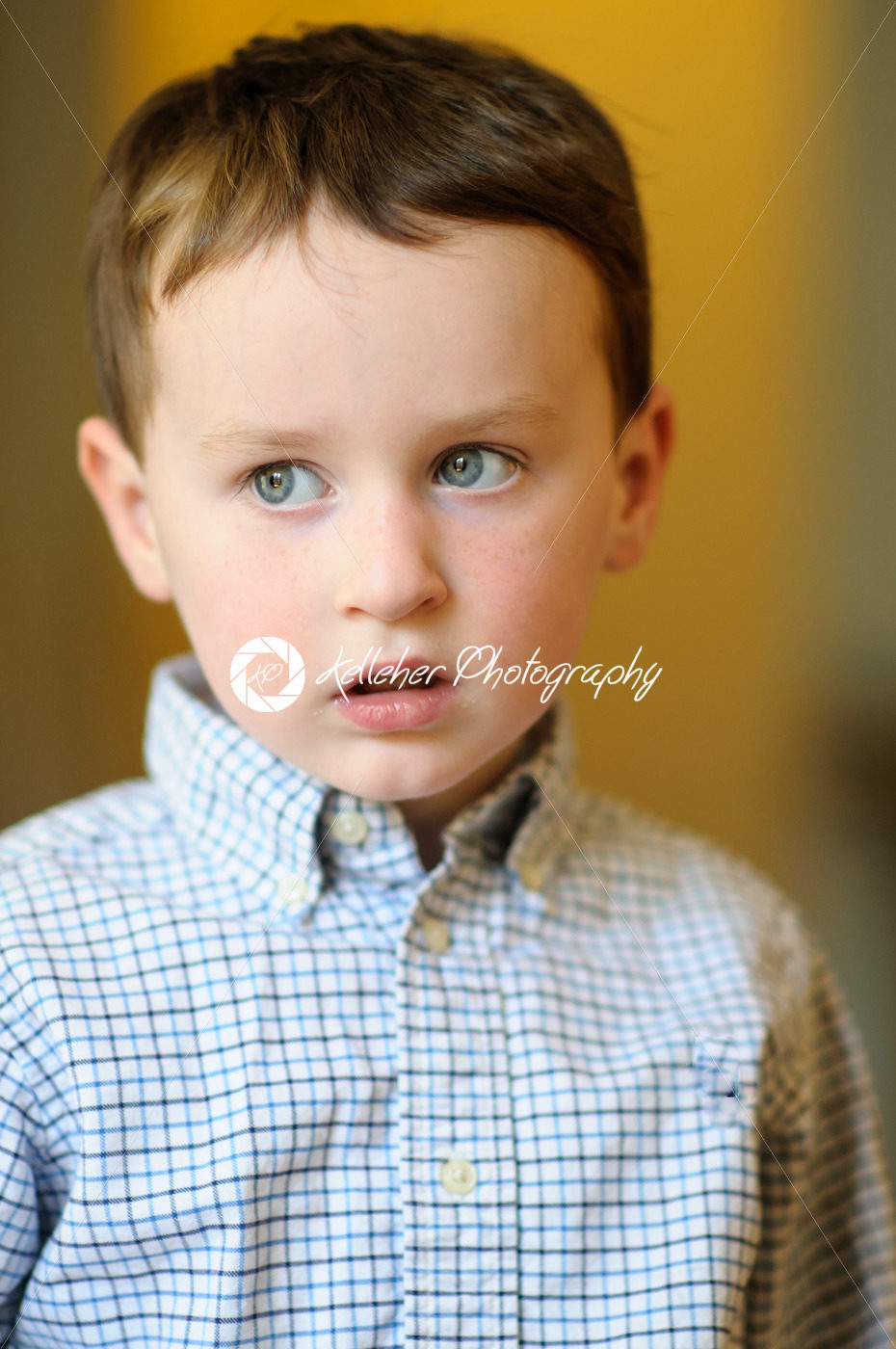 Portrait of a cute little boy inside - Kelleher Photography Store