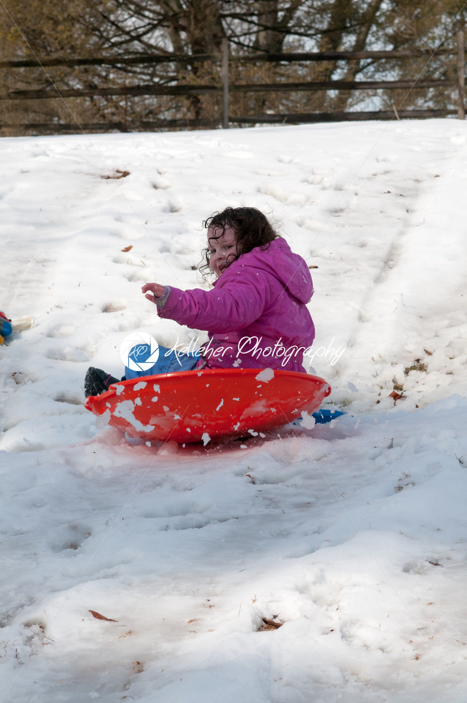 Young little girl enjoying sledding outside on a snow day - Kelleher Photography Store