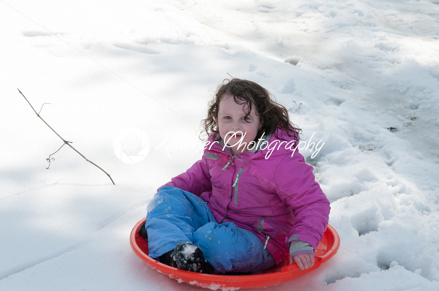 Young little girl enjoying sledding outside on a snow day - Kelleher Photography Store
