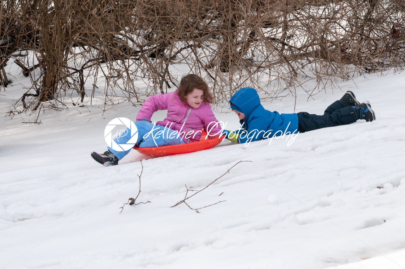 Young little girl enjoying sledding outside on a snow day while her brother holds onto the back dragging along after her - Kelleher Photography Store