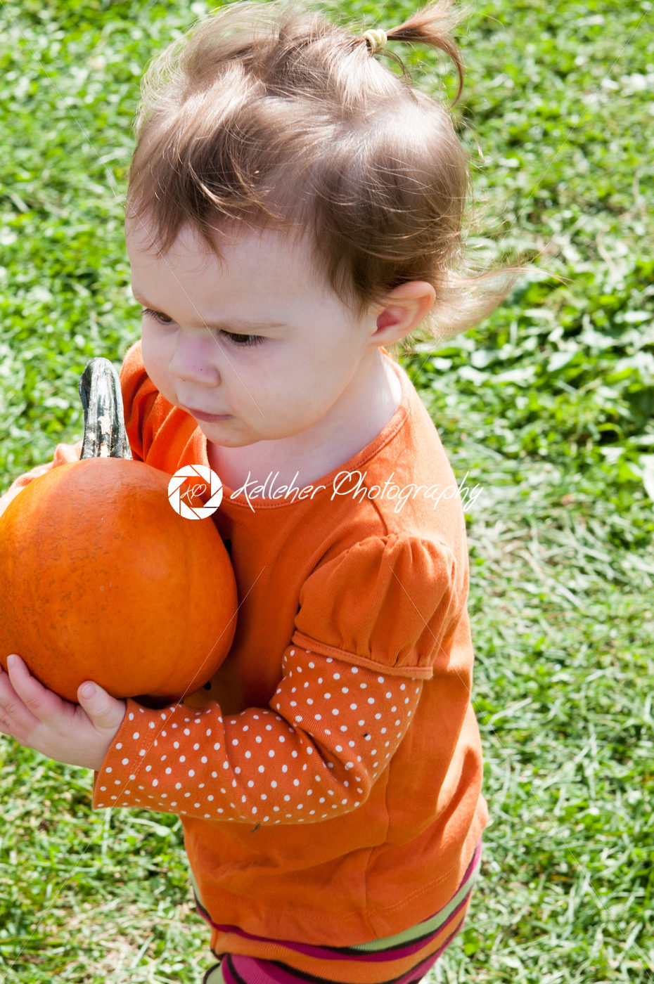 Young toddler girl outside holding a pumpkin - Kelleher Photography Store