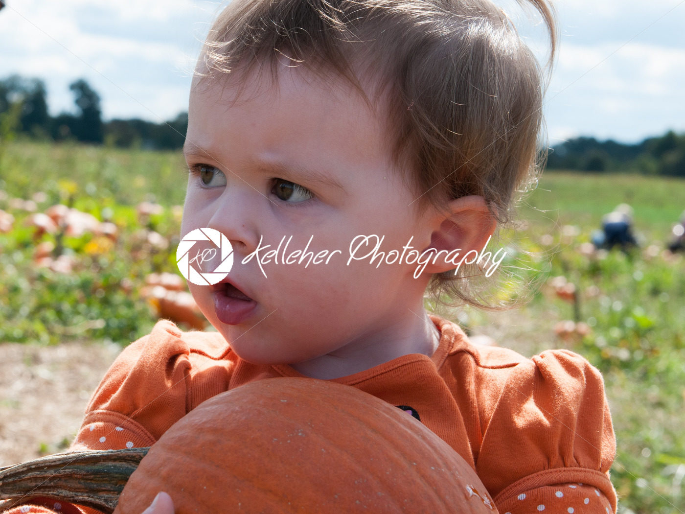 Young toddler girl outside holding a pumpkin with pumpkin fields in the background - Kelleher Photography Store