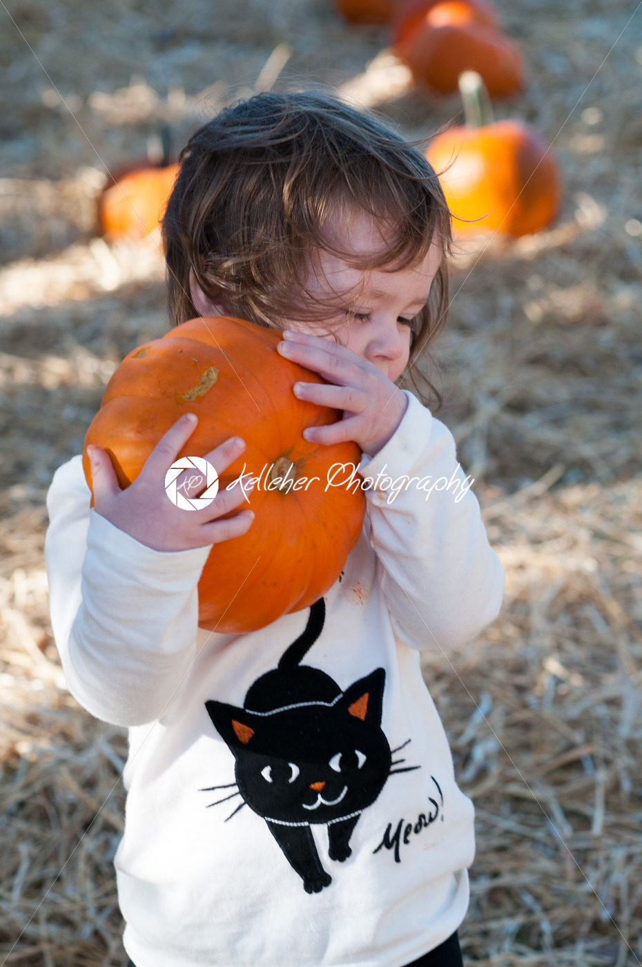 Young toddler girl outside holding a pumpkin with pumpkin fields in the background - Kelleher Photography Store