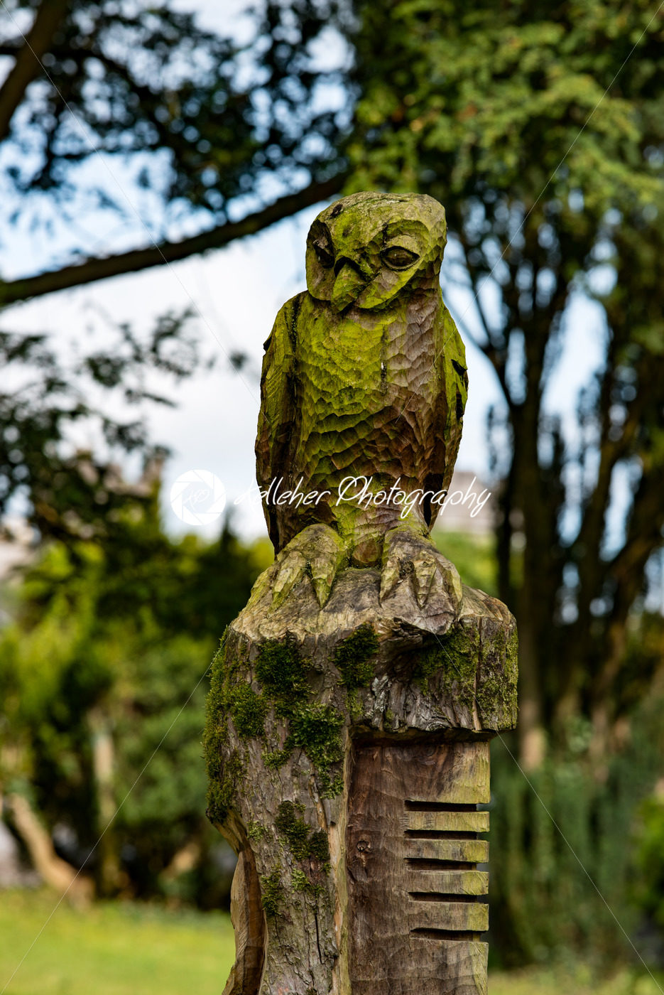 COUNTY OFFALY, IRELAND – AUGUST 23, 2017: Birr Castle Gardens in County Offaly, Ireland - Kelleher Photography Store