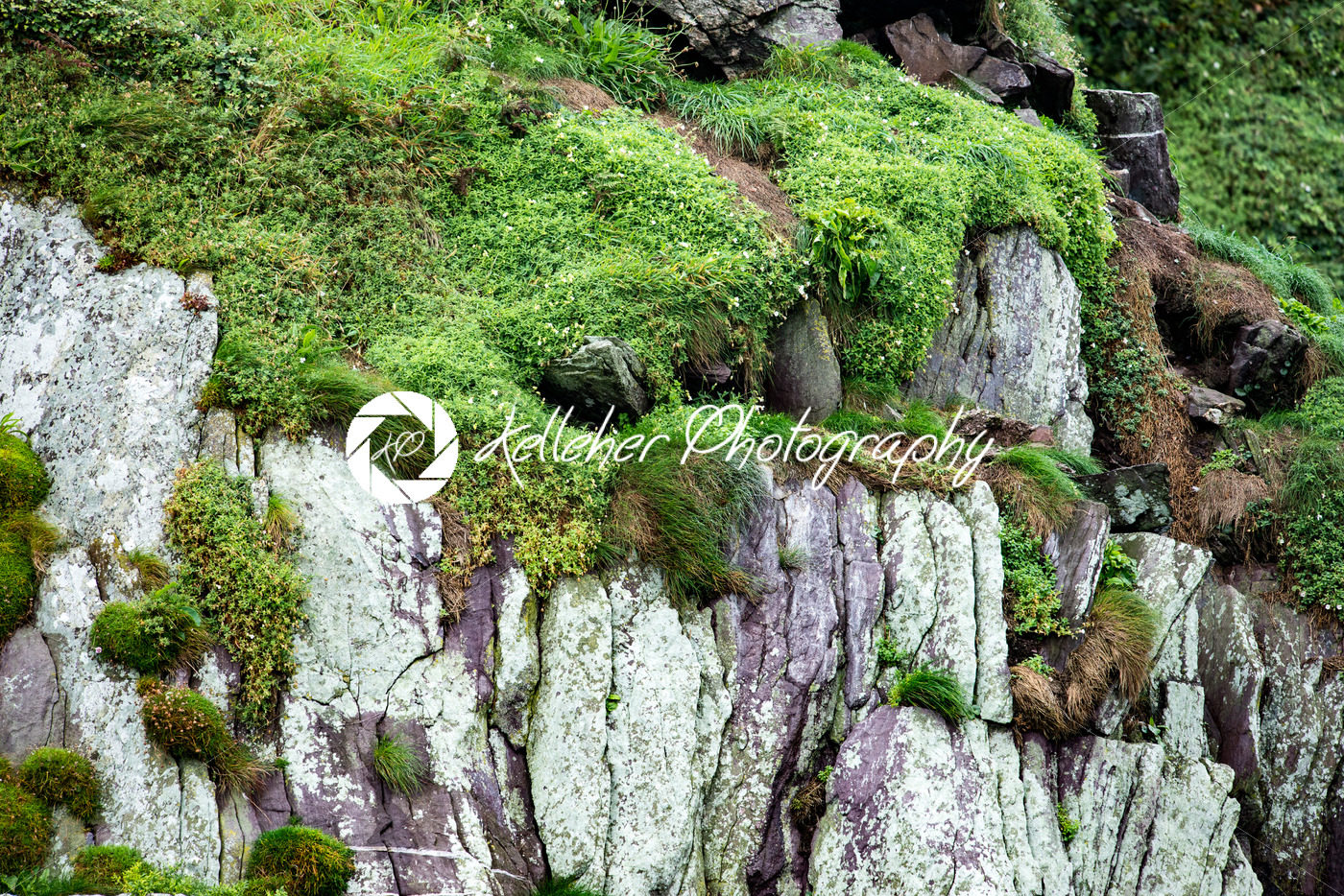 Cliffs and Harbor in Dingle, County Kerry, Ireland - Kelleher Photography Store