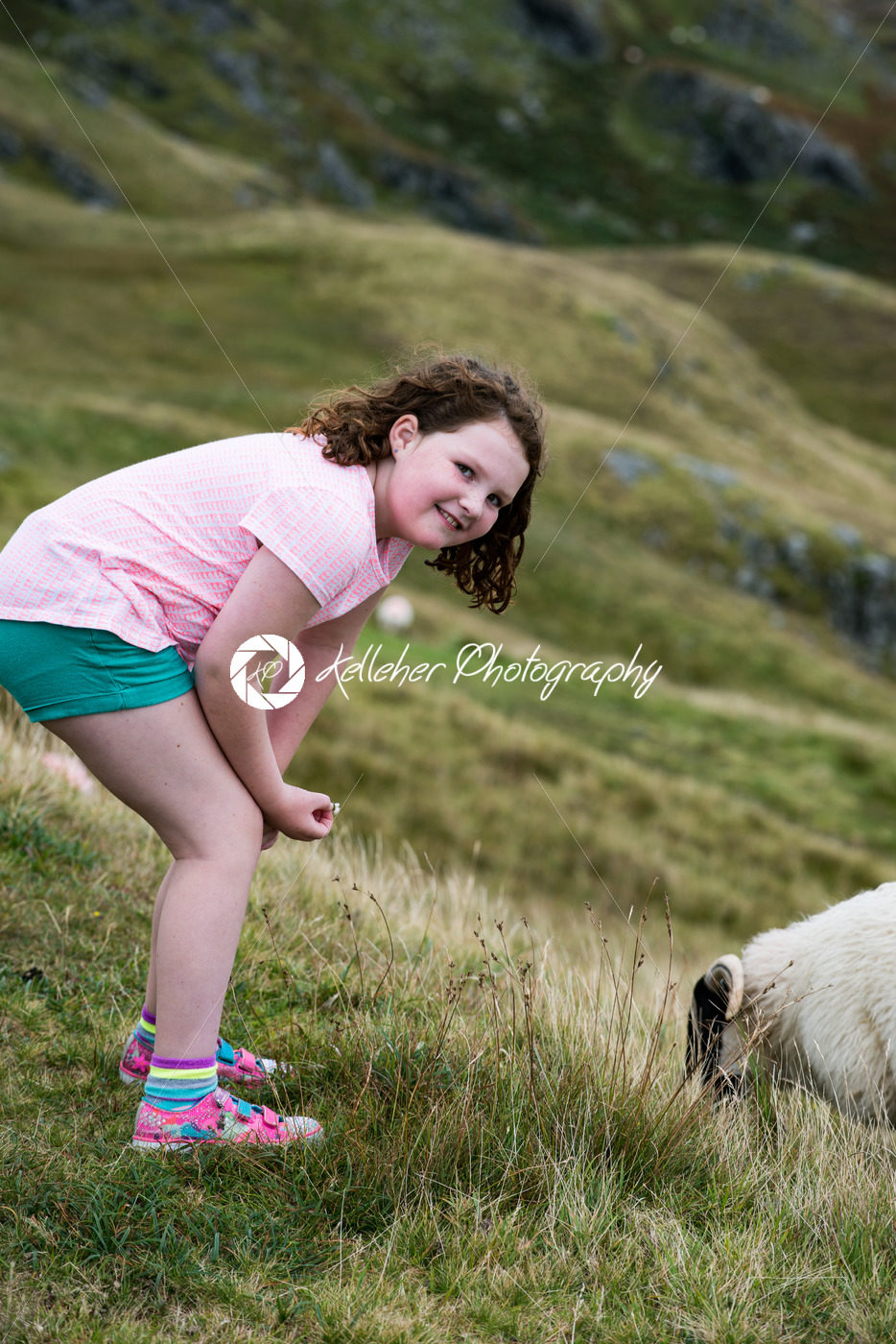 Girl looking at sheep grazing while walking up the Slieve League Cliffs, County Donegal, Ireland - Kelleher Photography Store