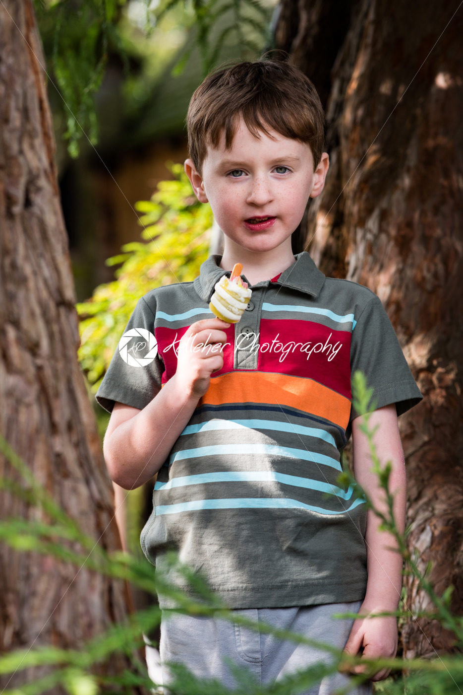 Young little boy portrait eating popsicle looking at camera - Kelleher Photography Store