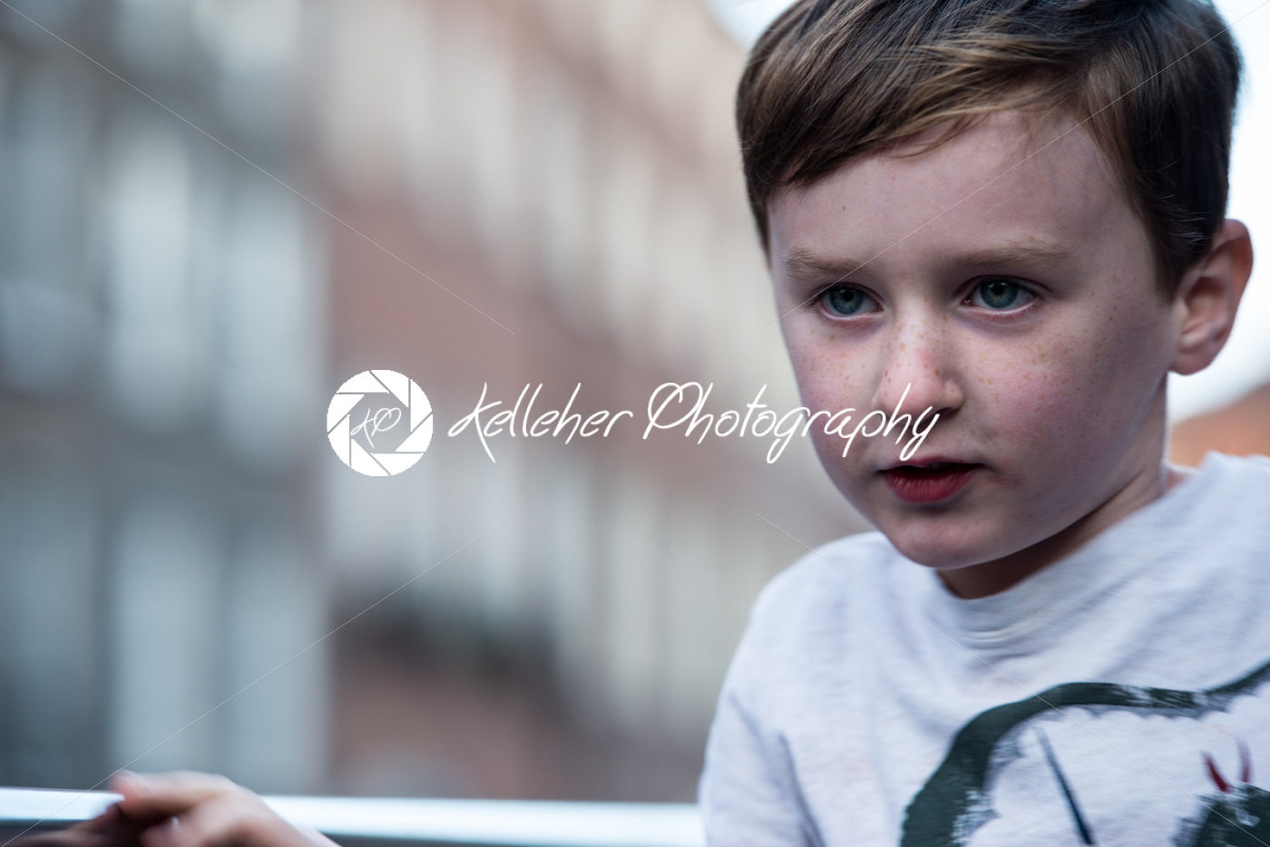 Young little boy portrait looking at something - Kelleher Photography Store