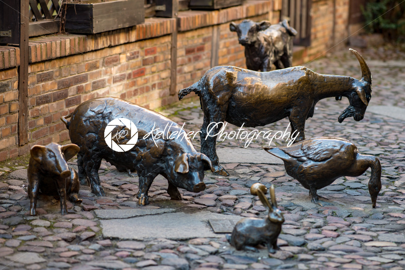 Wroclaw, Poland – March 9, 2018: Massacre of Wroclaw, bronze statue of the slaughter animals in the place of a medieval butcher - Kelleher Photography Store
