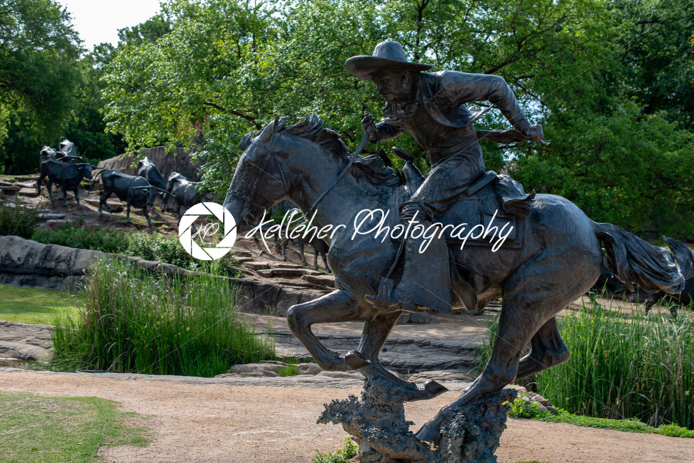 Dallas, Texas – May 7, 2018: Cowboy and longhorn cows with cattle in the background, as part of a landmark bronze cattle sculpture - Kelleher Photography Store