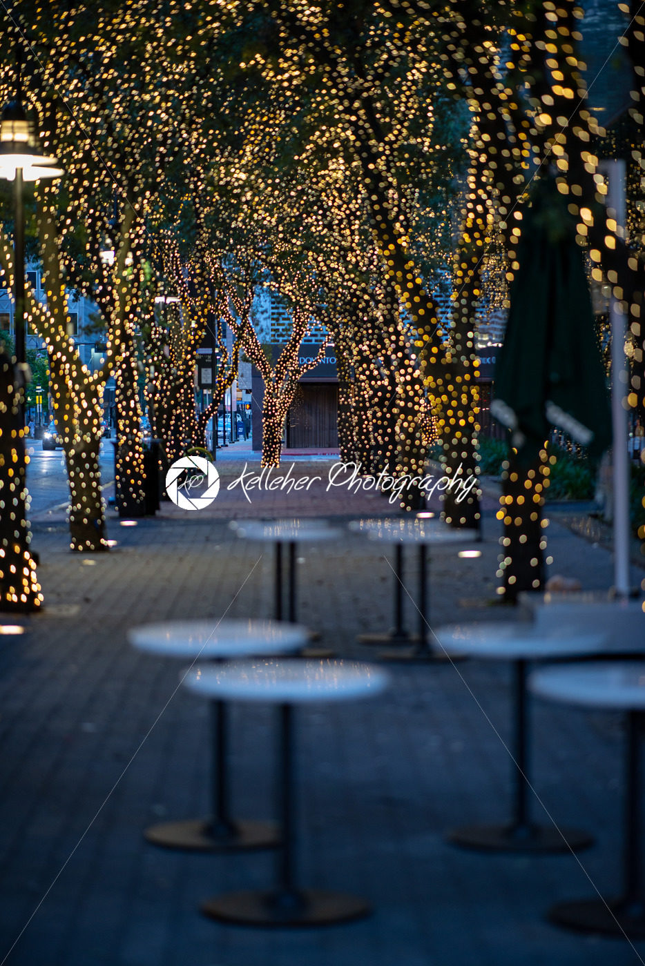 Outdoor restaurant at sunset with trees illuminated with holiday lights - Kelleher Photography Store