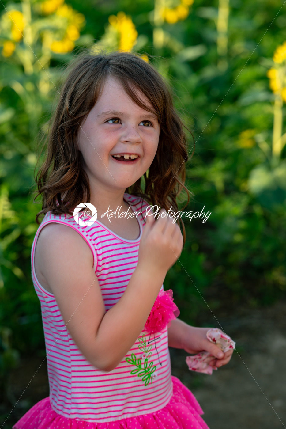 Beauty joyful young girl with sunflower enjoying nature and laughing on summer sunflower field. Sunflare, sunbeams, glow sun. Backlit. - Kelleher Photography Store