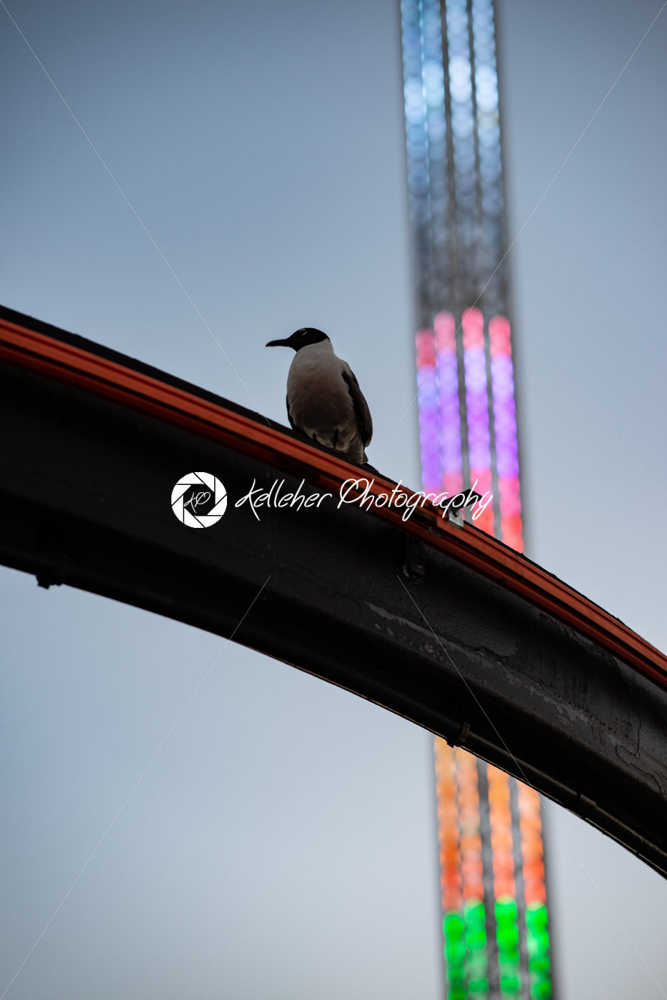 Ferris Wheel on Gillian’s Wonderland Pier in Ocean City, NJ at evening time - Kelleher Photography Store