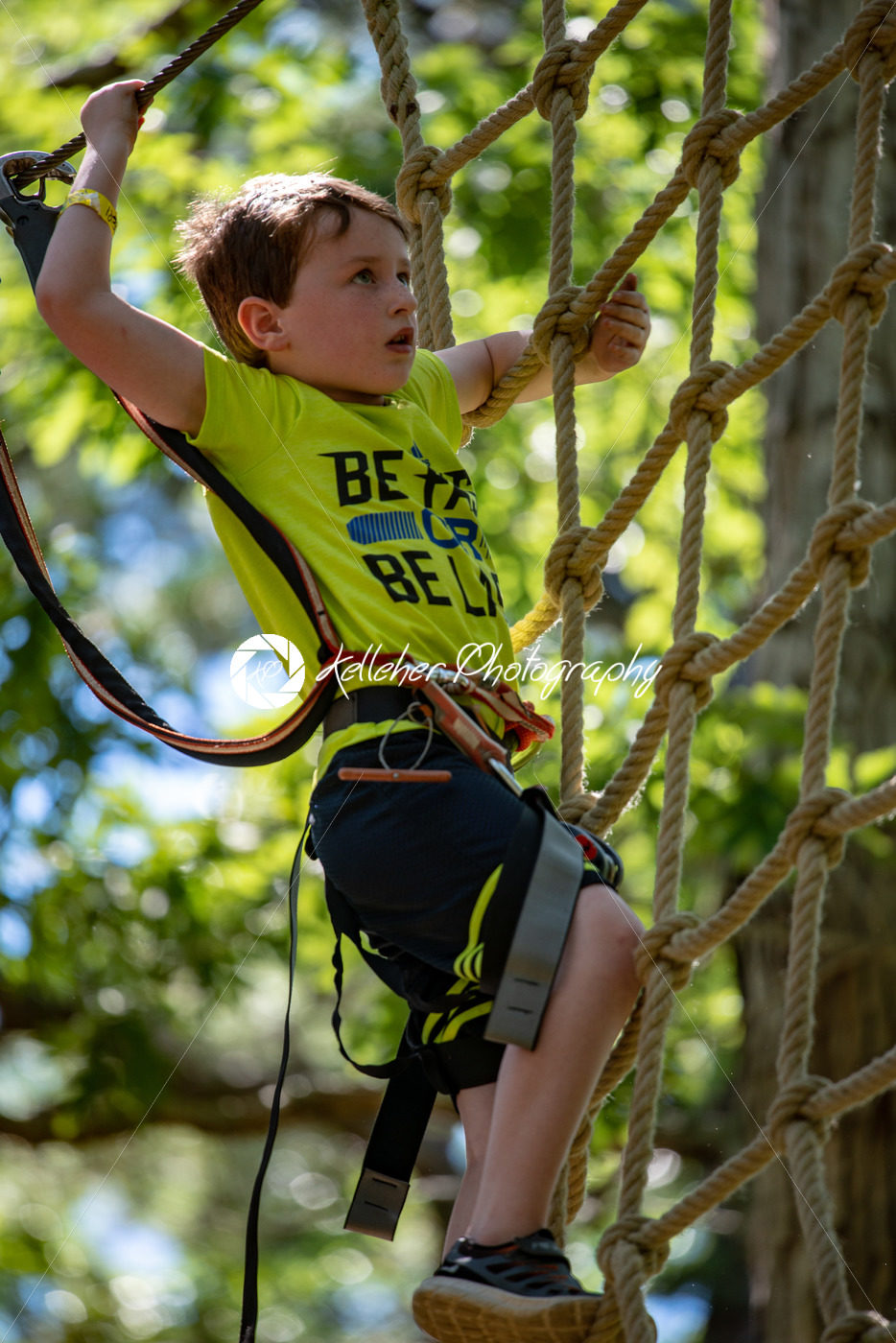 Portrait of a handsome boy on a rope park among trees. Children summer activities. - Kelleher Photography Store