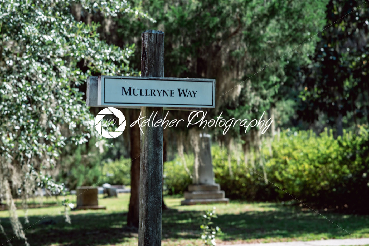 Sign for Mullryne Way in Bonaventure Cemetery Savannah Georgia - Kelleher Photography Store