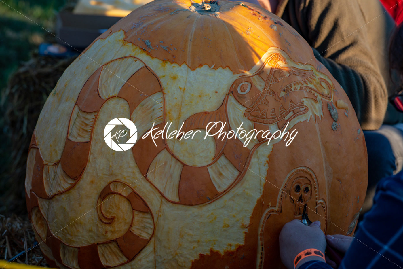 CHADDS FORD, PA – OCTOBER 18: Dragon and Bettlejuice Betelgeuse The Great Pumpkin Carve carving contest on October 18, 2018 - Kelleher Photography Store