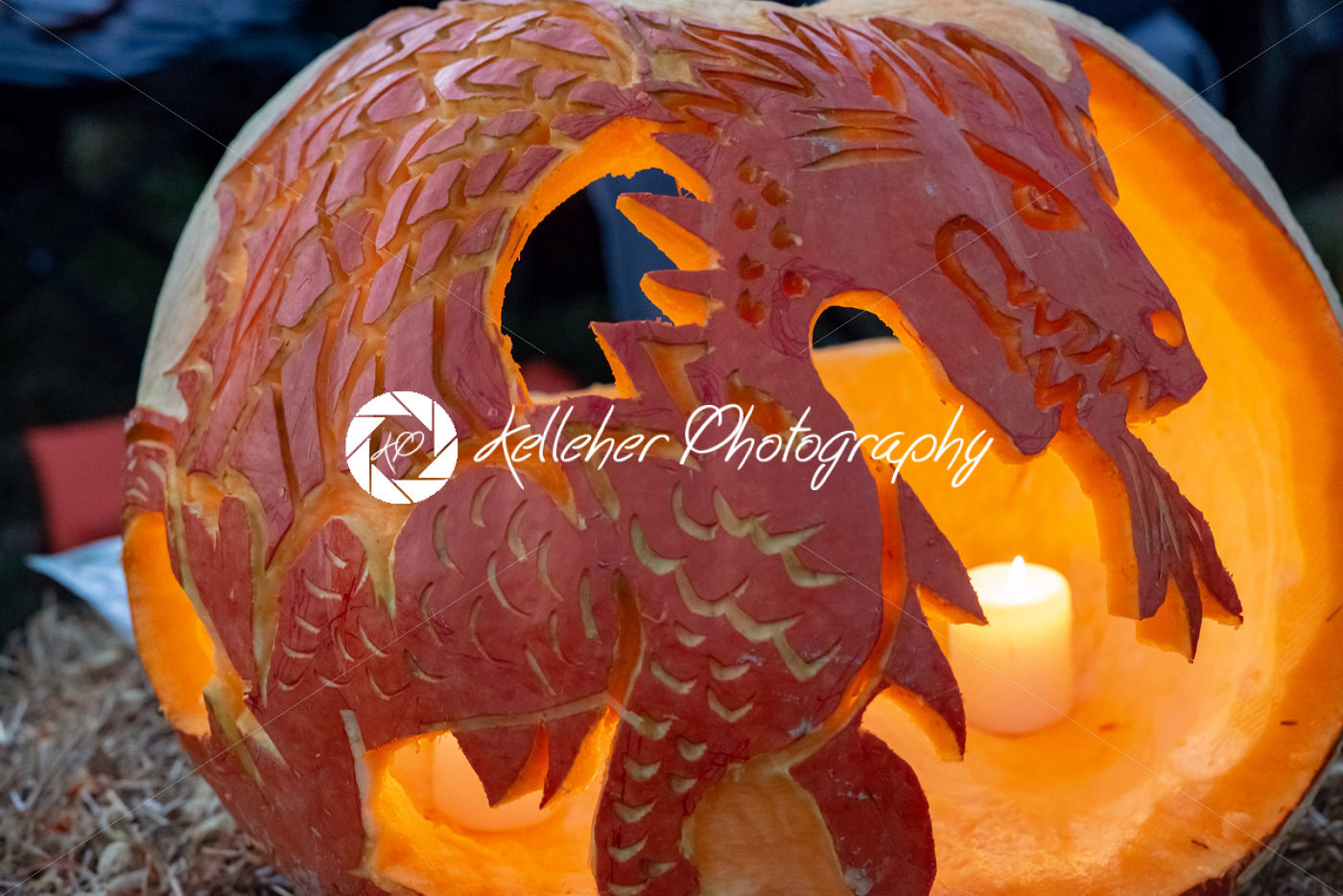CHADDS FORD, PA – OCTOBER 18: Dragon at The Great Pumpkin Carve carving contest on October 18, 2018 - Kelleher Photography Store