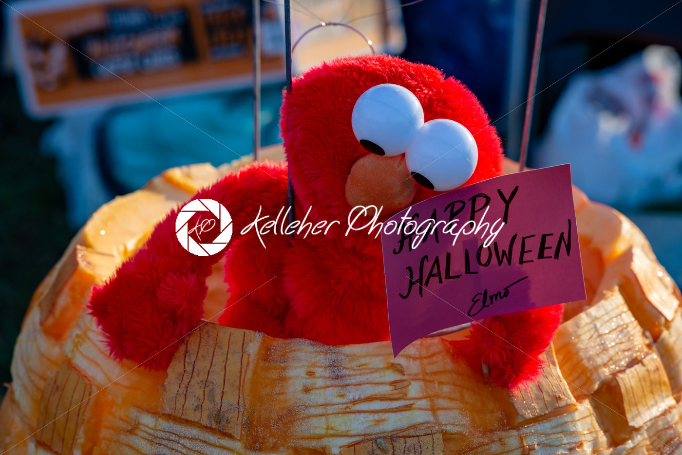 CHADDS FORD, PA – OCTOBER 18: Happy Halloween Elmo at The Great Pumpkin Carve carving contest on October 18, 2018 - Kelleher Photography Store