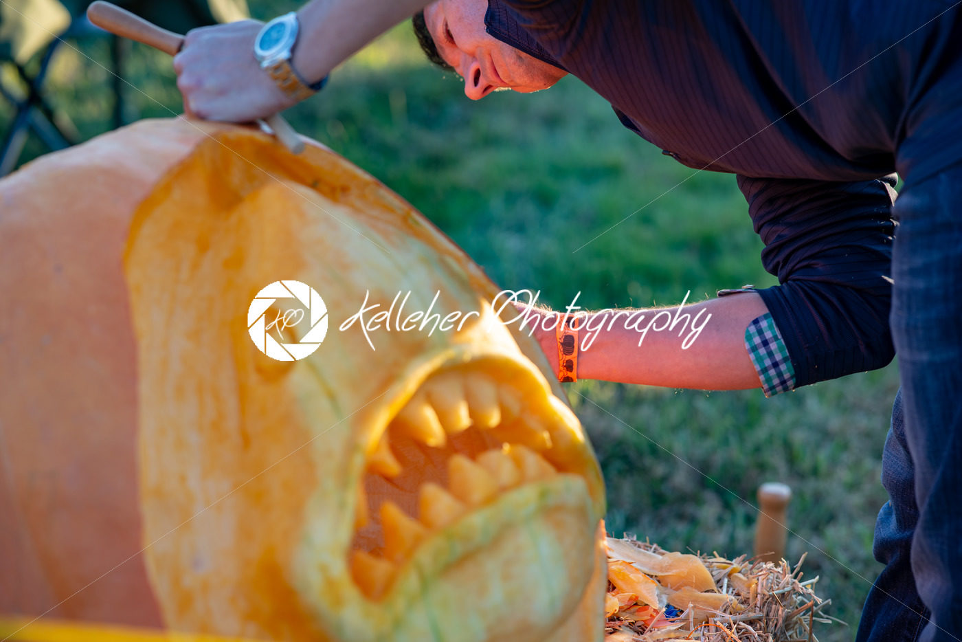 CHADDS FORD, PA – OCTOBER 18: Person carving pumpkin at The Great Pumpkin Carve carving contest on October 18, 2018 - Kelleher Photography Store