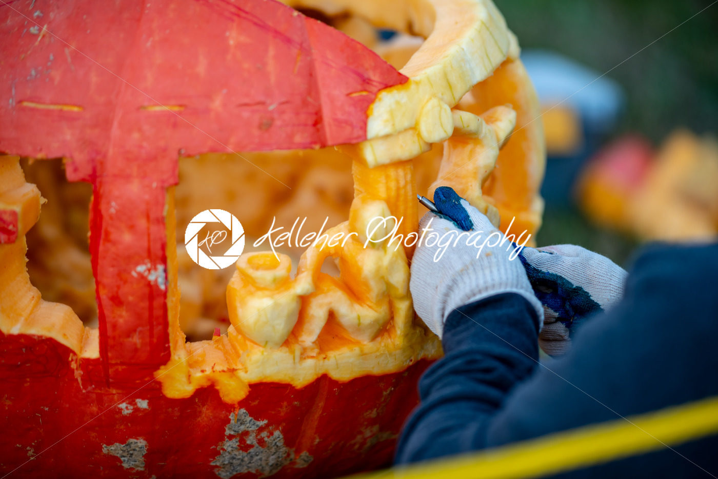 CHADDS FORD, PA – OCTOBER 18: Person carving pumpkin at The Great Pumpkin Carve carving contest on October 18, 2018 - Kelleher Photography Store