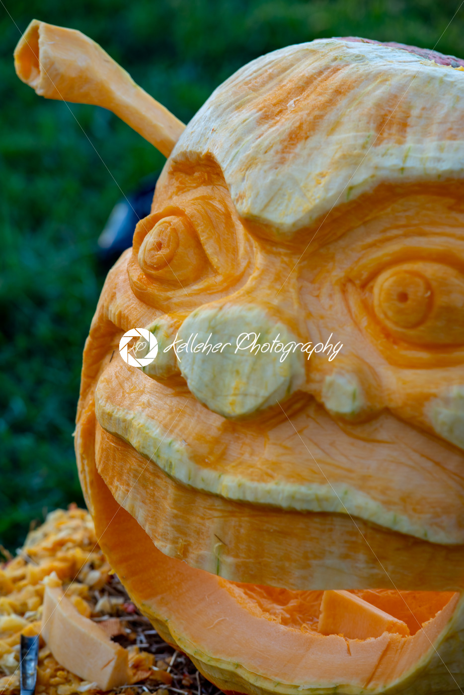 CHADDS FORD, PA – OCTOBER 18: Shrek at The Great Pumpkin Carve carving contest on October 18, 2018 - Kelleher Photography Store