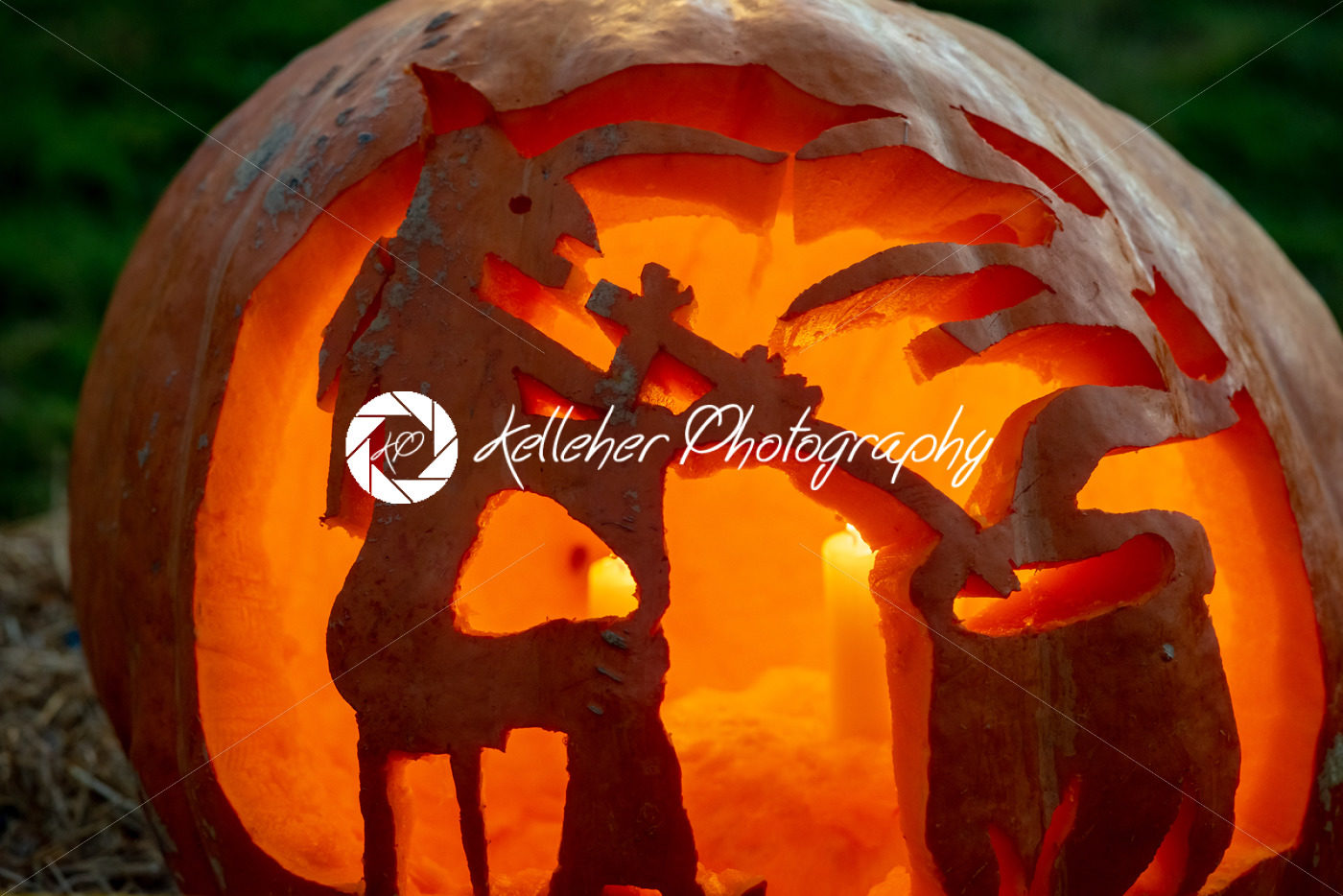 CHADDS FORD, PA – OCTOBER 18: Witch and Caludron at The Great Pumpkin Carve carving contest on October 18, 2018 - Kelleher Photography Store